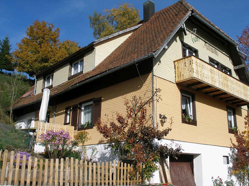 Haus Antonis Apartment *