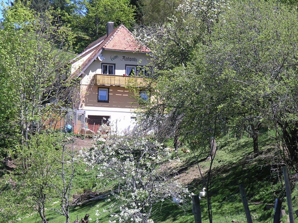 Appartamento Haus Antonis