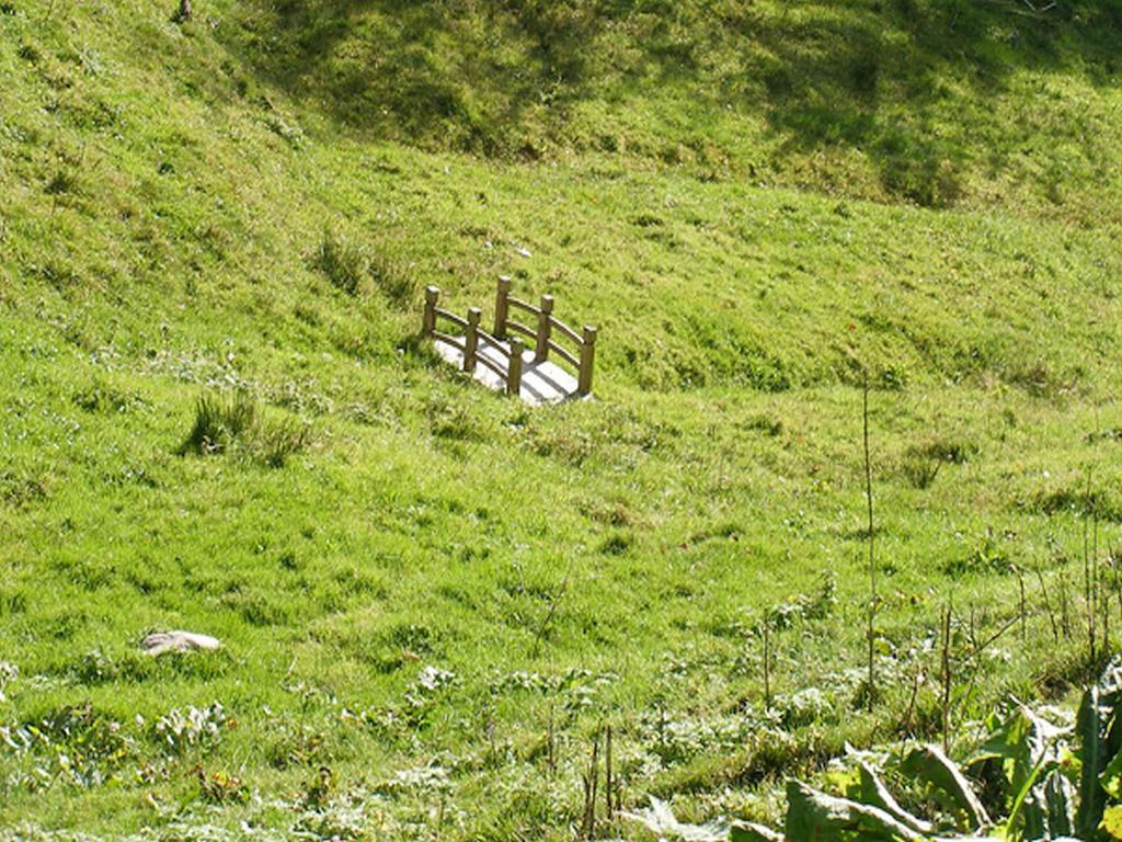 Haus Antonis * Triberg im Schwarzwald