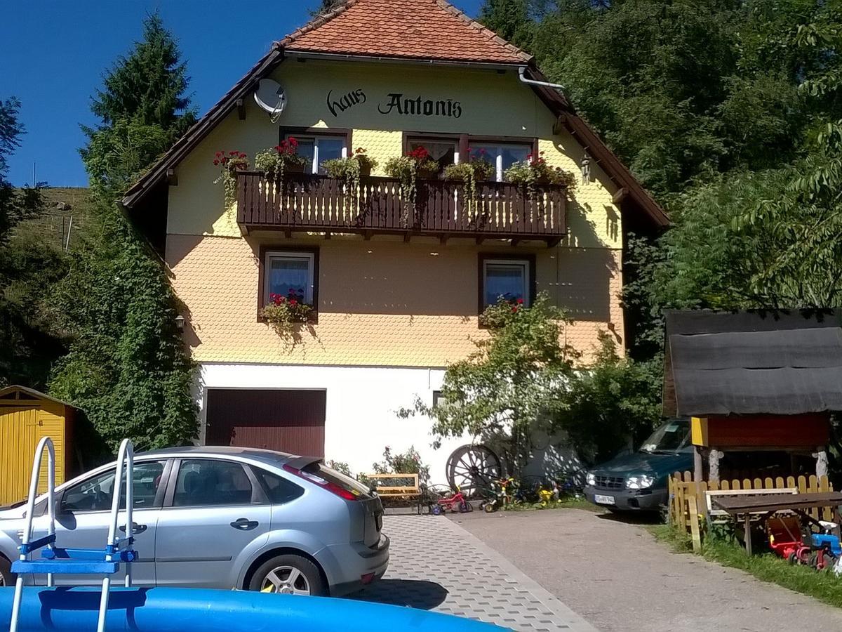 Haus Antonis Appartamento Triberg im Schwarzwald